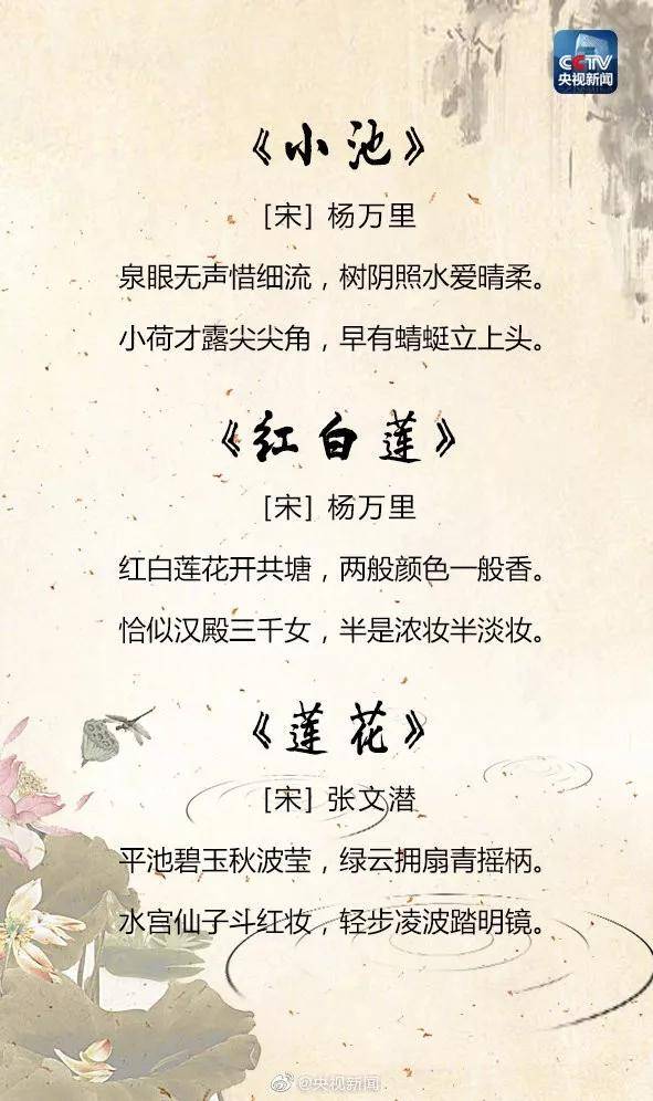 品味的意思和感悟 a865b56120d1499dba36a370e7f0fcdd.jpeg