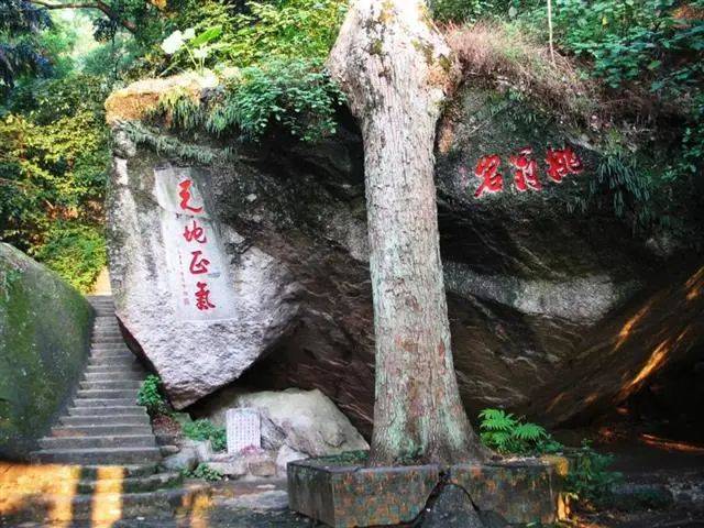 自驾游广西"小三峡",赏奇谭飞瀑,体验荷池小院民宿,邂逅桂平大美风光!