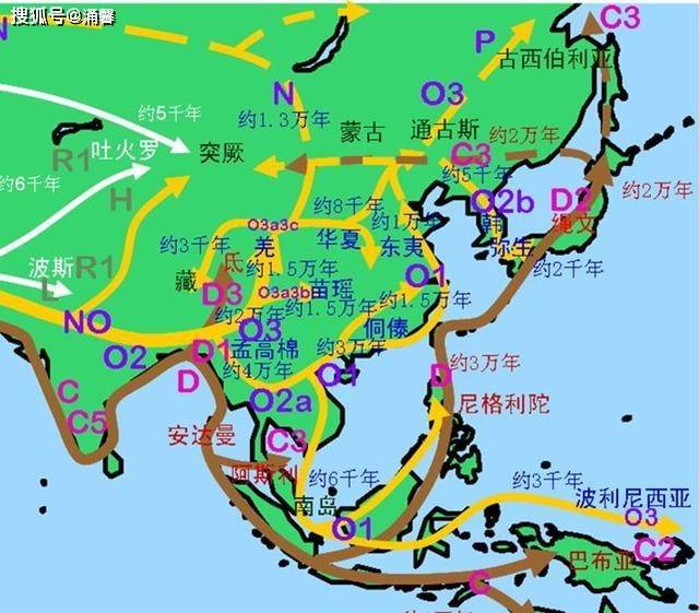 我国各民族人口_我国各民族文化手抄报(2)