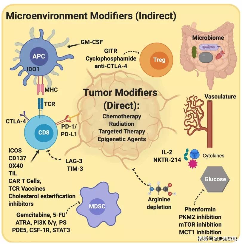 肿瘤免疫治疗的未来靶向微环境的联合治疗 上海晟唐创业孵化器管理有限公司