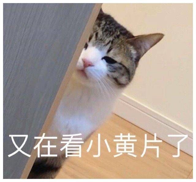 2d6bb94b85d1495f8e5d26ebcacc8a08.jpeg