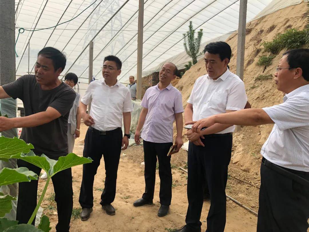 菏泽市牡丹区委副书记,区长张泽中到何楼街道调研乡村振兴工作