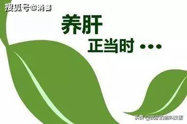 如何补肝护肝 f8c3cadcaf764adf9db847fac9b266a6.jpeg