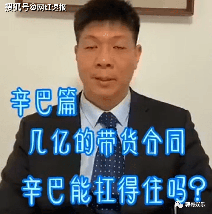 辛巴老总是谁_狮子王辛巴