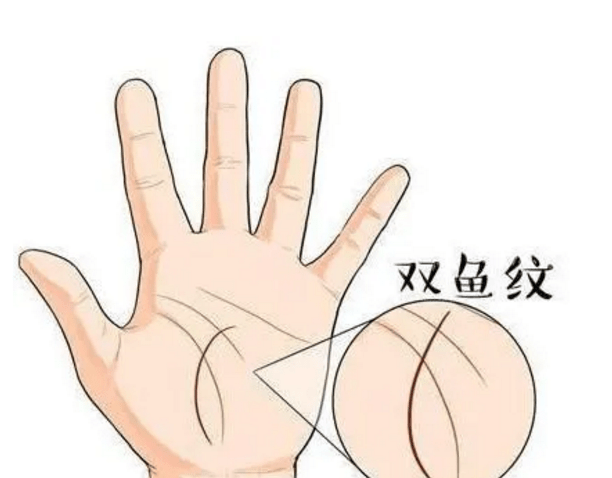 手是什么形状 64083ef6a67e4ffd9fa12f3c94097aed.png