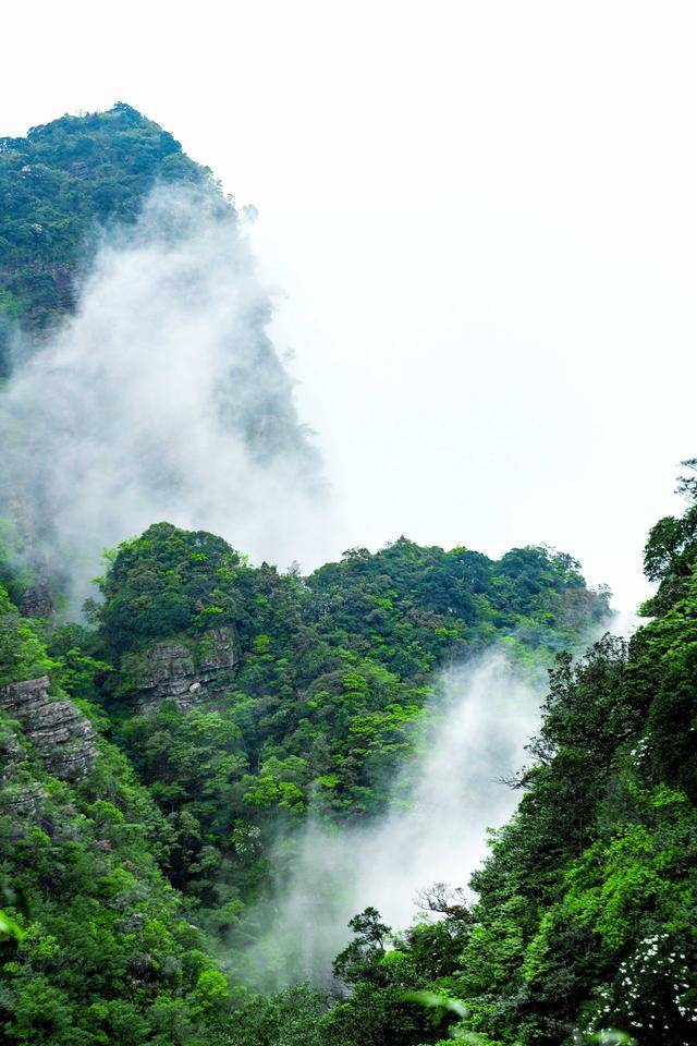 实拍隐藏在大瑶山里的仙境,所见都是风景