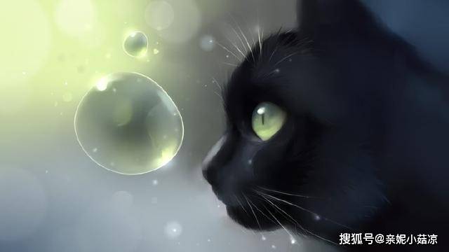 双子座一般都很腹黑吗