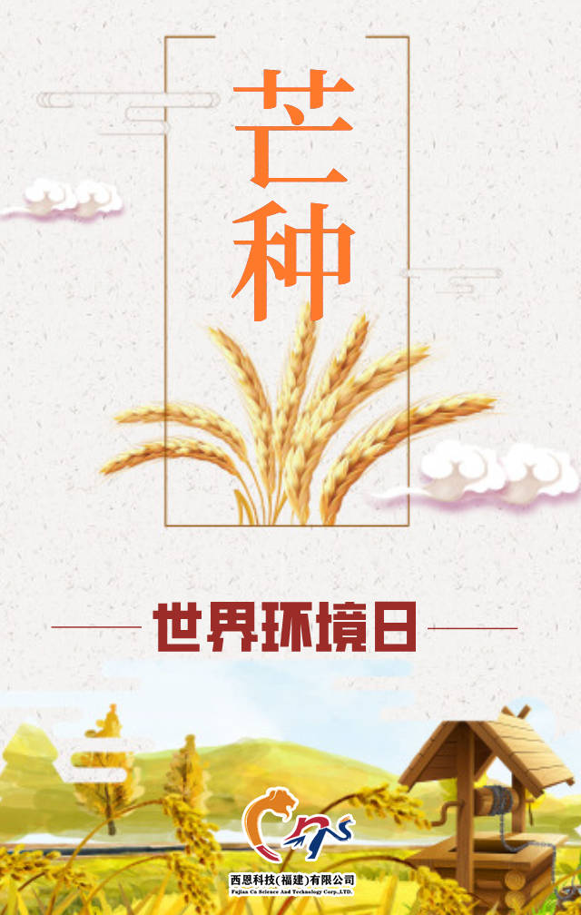 西恩创业 丨 拒绝瞎"芒",成果可期