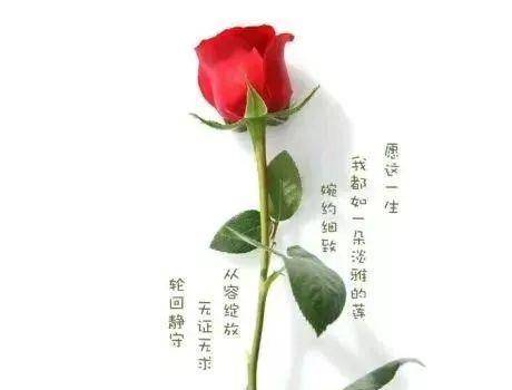 原创适合发朋友圈的经典语录心情句子 句句穿透人心!
