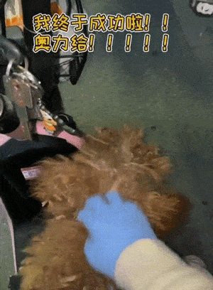 300_408 竖版 竖屏