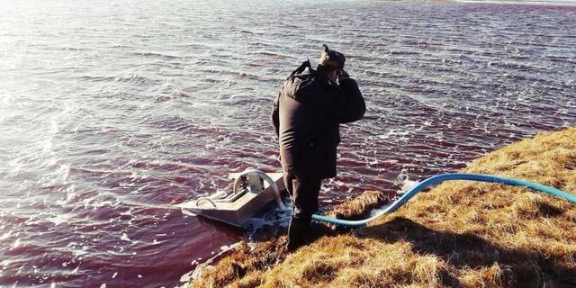 2万吨石油流入北冰洋！俄电厂燃料泄露，普京痛