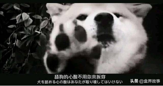 7d5f0950283a42e68eea99b954ebf461.jpeg