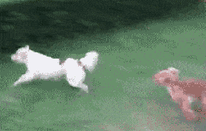 搞笑gif: 美女都抱在怀里了, 这咋还腿软了呢