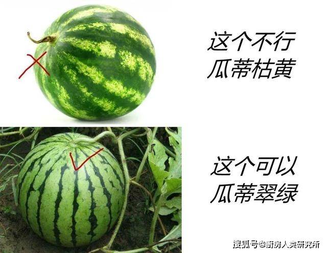 42068d2ad5064acca185ad25b521a27d.jpeg