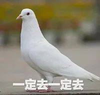 7701e0b1270648a7b0aa4cd8179077d2.jpeg