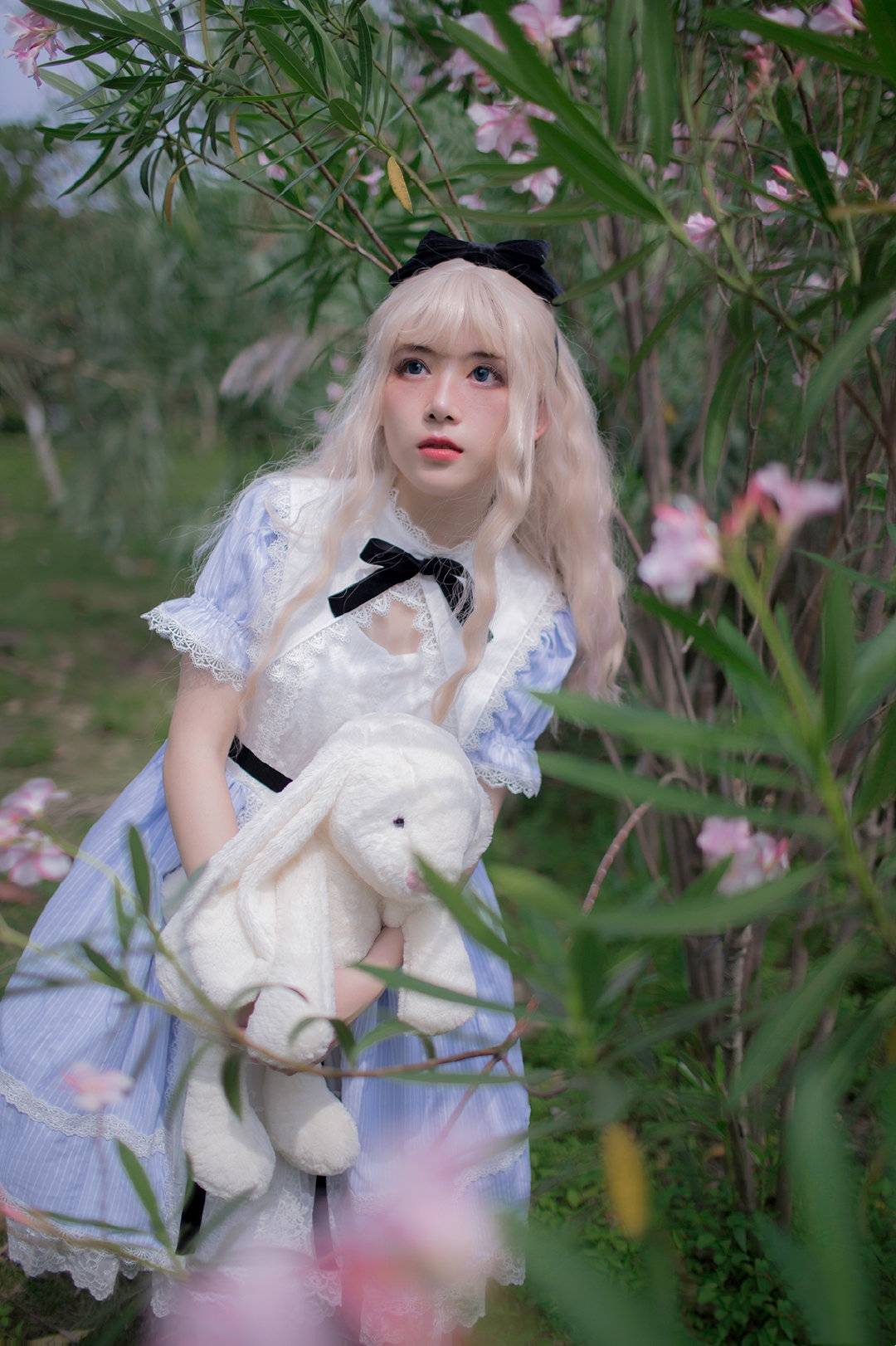 lolita:在迷雾般的森林里,遇见误入仙境的爱丽丝公主