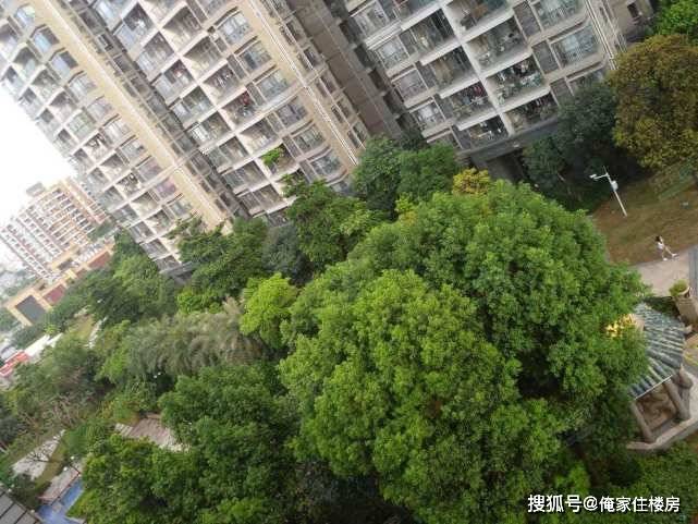 房价上涨对gdp的贡献多大_房价上涨