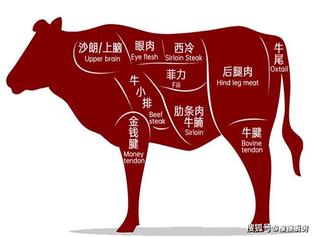 看看牛肉各个部位的正确吃法