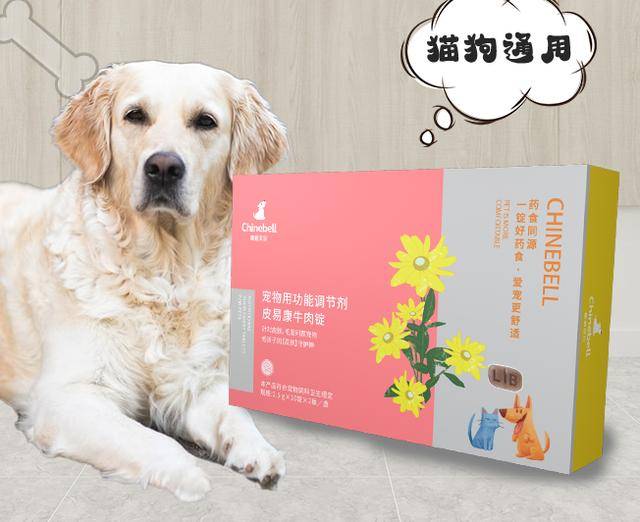 夏天给狗狗剃毛降温有用吗