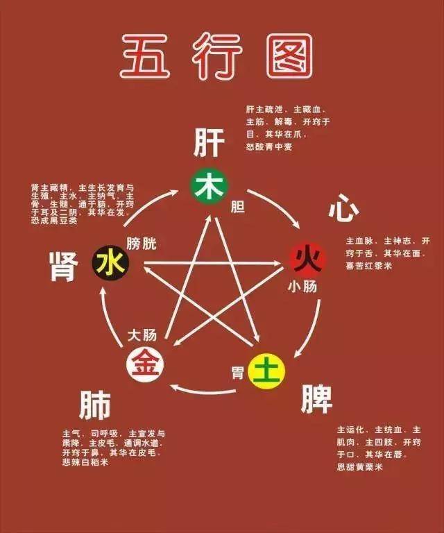 哈欠连天,那是你的胃不好(中医五脏会说话)