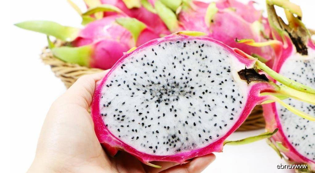如何种好火龙果 6b317ea460794d048aca2c6f56756164.jpeg