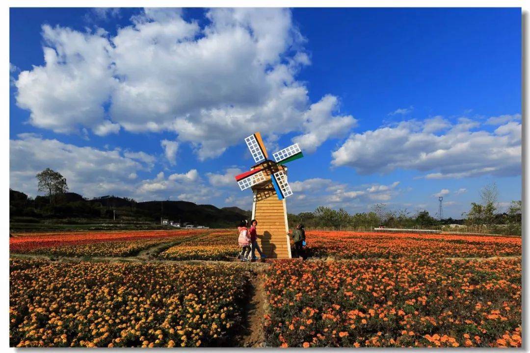 贵州避暑最美村镇:惠水好花红4a景区避暑,远离喧嚣,亲近自然