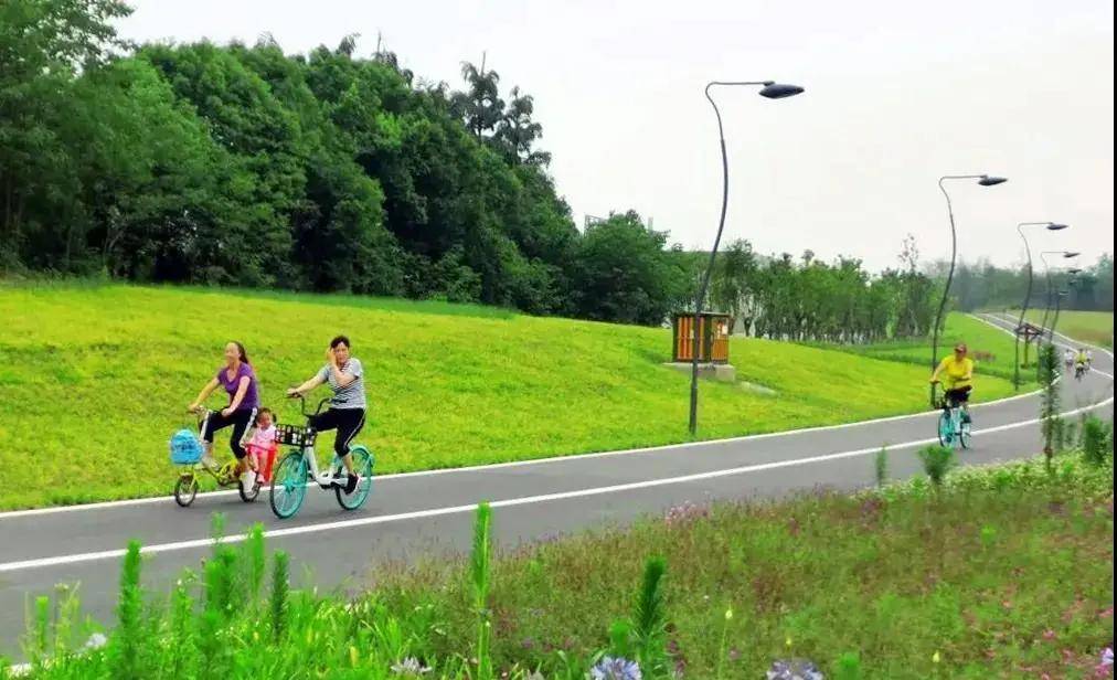 从天鹅湖到青龙湖锦城绿道龙泉驿段全面建成等你来打卡