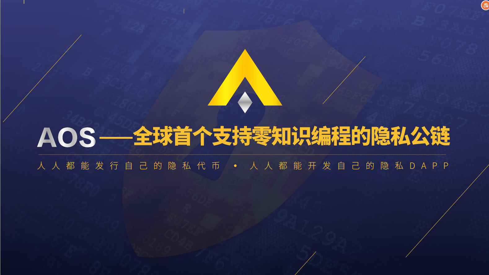 全球首个支持零知识编程的隐私公链—AOS项目全方位解读_搜狐网