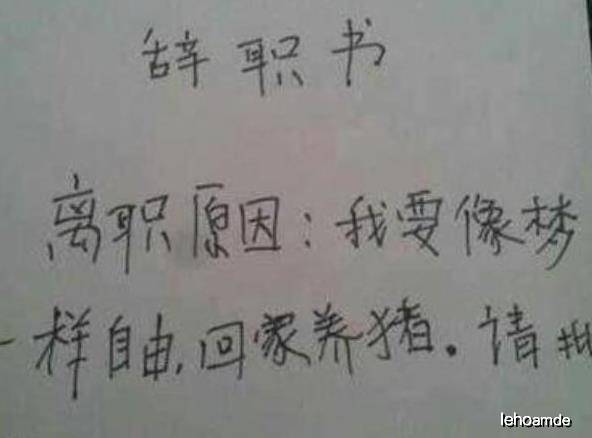 梦一样自由简谱_像梦一样自由简谱(3)
