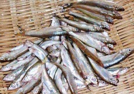 小鱼怎么处理才好吃 89ebf3a1000840bfa02d093931f486c1.jpeg