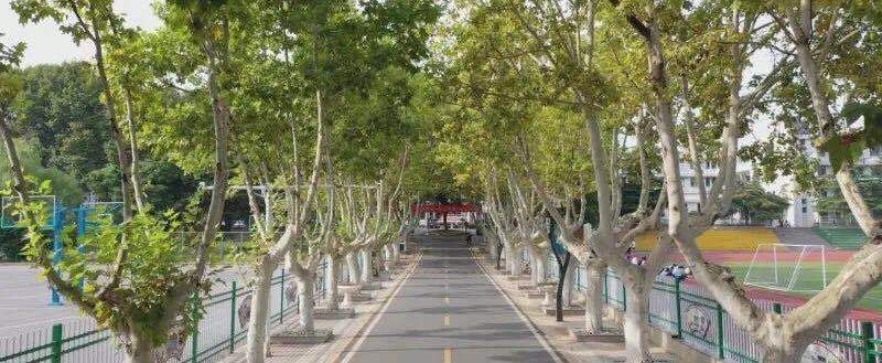 秦淮区2020中考排名_动态丨南京市秦淮中学:2020届高三毕业典礼暨高考壮