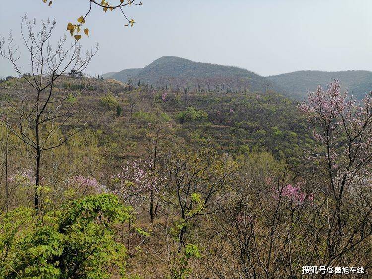 修武县有多少人口_修武县地图(2)