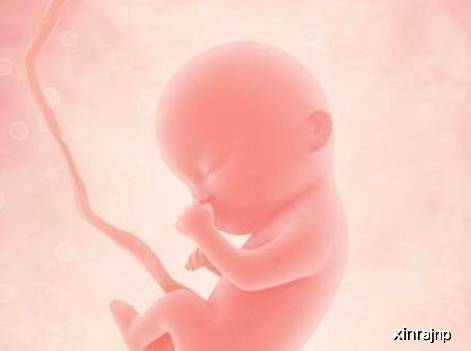 几个月开始胎儿容易脐带绕颈 74d2f8735e424902aa97922c749f9946.jpeg