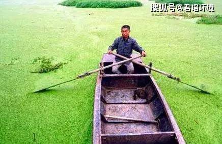 水生木正确解释 dd17d0204560470086d0c9aedb424b73.jpeg