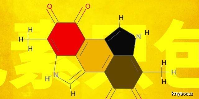 世界人口多种类_世界人口特别多图片