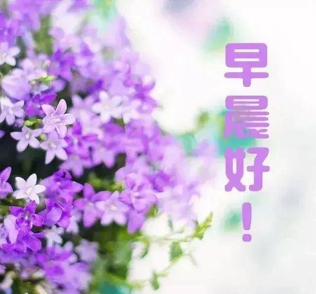 放弃未必是认输,与其华丽撞墙,不如优雅转身,早安