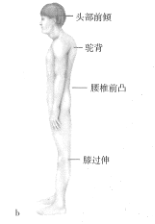cae6aa47994947f7a63cdedc2a8b9c13.png