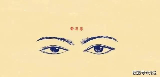 梵娅纹绣:十二种眉形看财富,五个富七个穷!_眉毛
