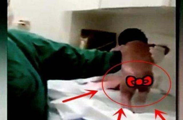 脐带|剪完脐带光着身子就想跑，网友：哪吒转世“最猛新生儿”火了