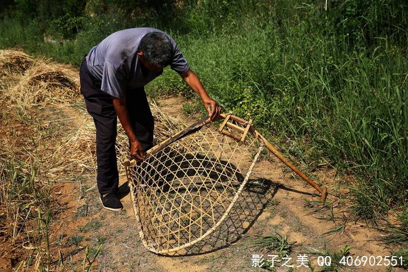 掠子割麦神器晋南垣曲传统麦收工具