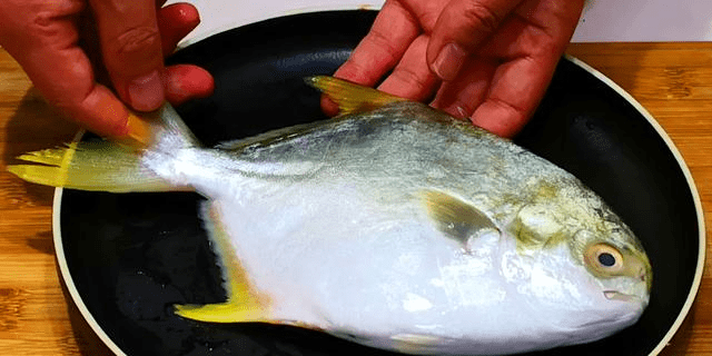 怎样做鱼好吃又不腥 aaae01fa993742c3b6082361c99c5795.png