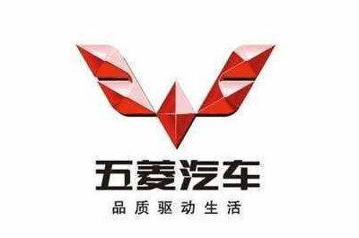 标志,常常会被车迷们拿来对比吐槽,比如国产汽车品牌当中,五菱的字母