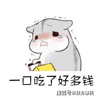 怎么才能100%捡到仓鼠 33707f0a73fe4ffb993c74540cc7f38f.jpeg