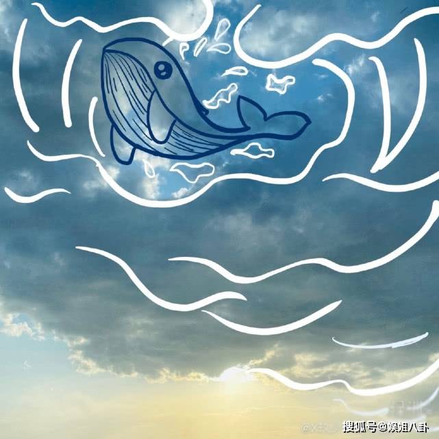 772f921f49a04f159255a03698b7ad26.jpeg