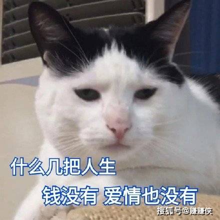 8ce284dd3bcb42c889647bc3391532c7.jpeg