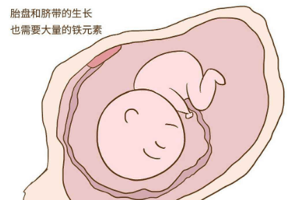 孕妇贫血对胎儿有什么影响?如何预防孕期贫血? 孕妇贫血对胎儿有什么影响?如何预防孕期贫血?