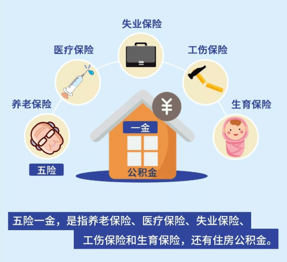 什么年龄开始要交20年社保 db201e709d2944289000404a0f601eca.png