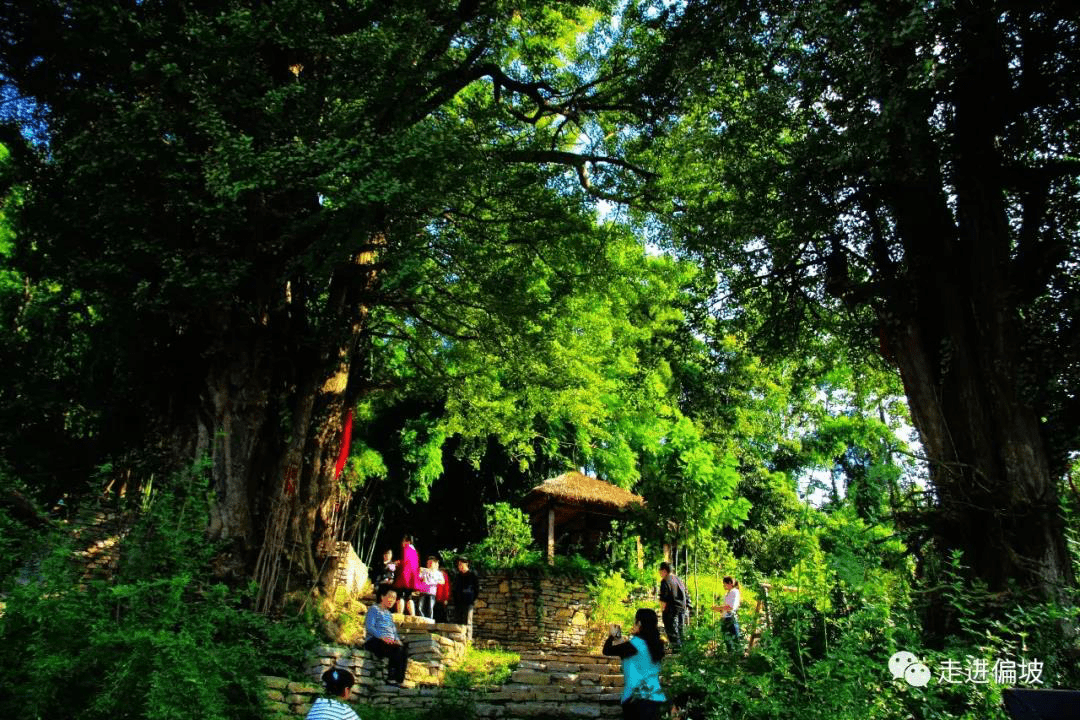 乌当布依族乡偏坡村:贵阳少有的"袖珍"美丽民族乡