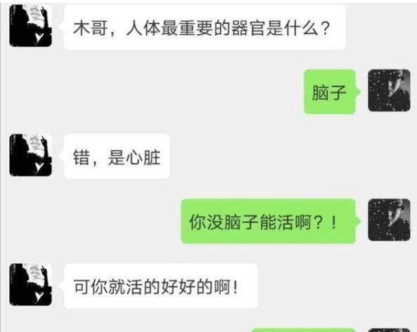 这套路也是够深的啊,转着弯说人家没脑子,感觉自己又get到了新的语录.