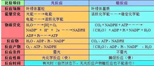 f596a3c354b64db0b866f28b9ede5c90.jpeg